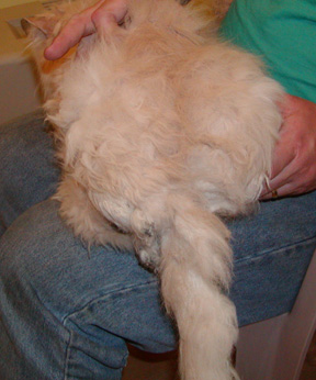 Clarence 2